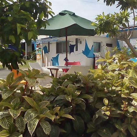 Cottage Blue Kabira Ishigaki  Extérieur photo